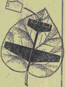 ut014-5